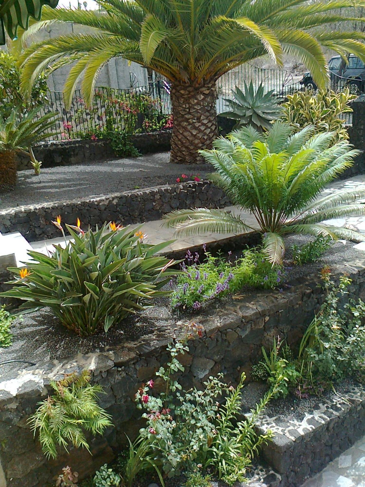Vv Complejo Vacacional Villamaria Los Llanos De Aridane Exteriör bild
